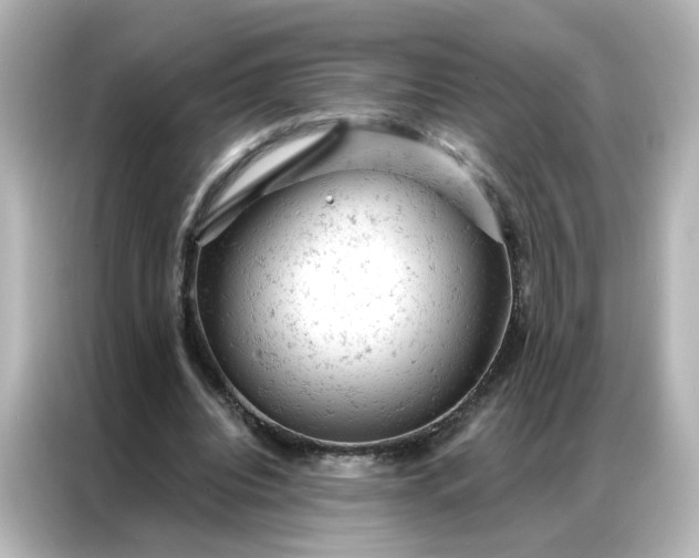 X0000087000440200704301401