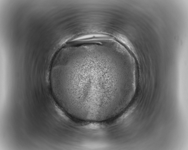 X0000087000441200704301401