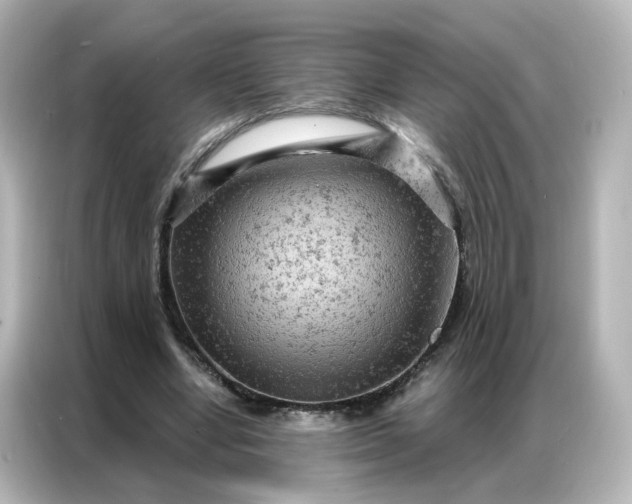 X0000087000442200704301401