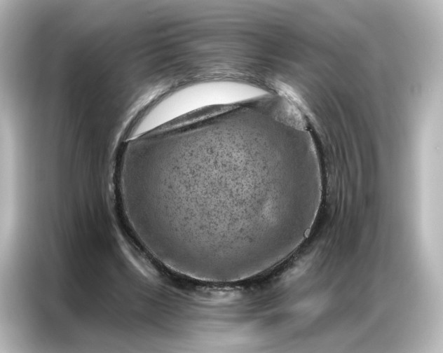 X0000087000443200704301401