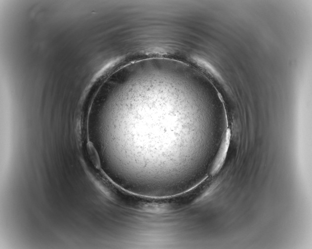 X0000087000444200704301401