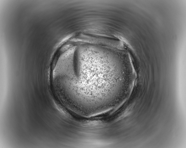 X0000087000446200704301401