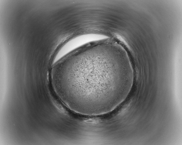 X0000087000447200704301401