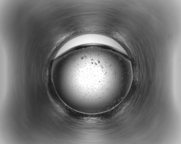 X0000087000448200704301401