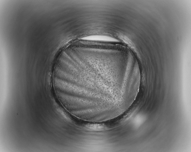 X0000087000449200704301401