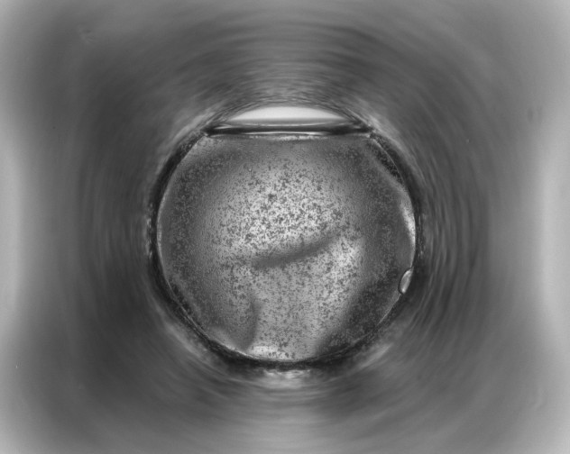 X0000087000450200704301401