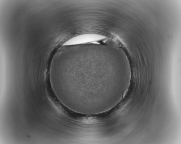 X0000087000451200704301401