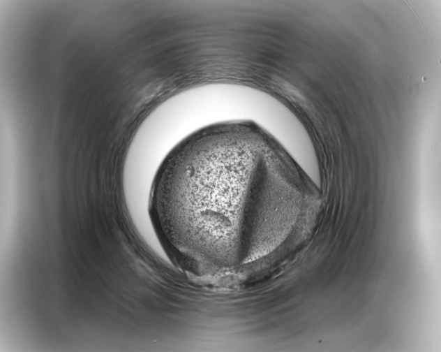 X0000087000452200704301401