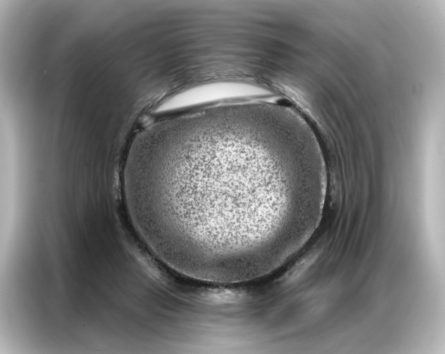 X0000087000453200704301401