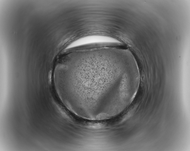 X0000087000454200704301401