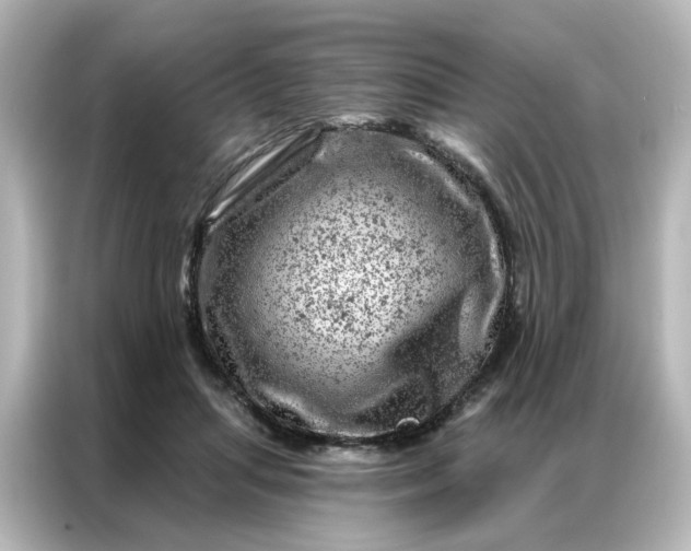 X0000087000455200704301401