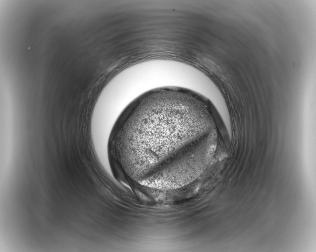 X0000087000456200704301401