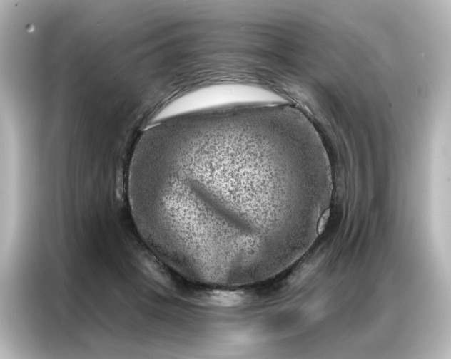 X0000087000457200704301401