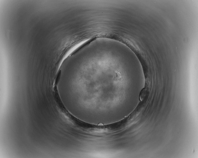 X0000087000458200704301401