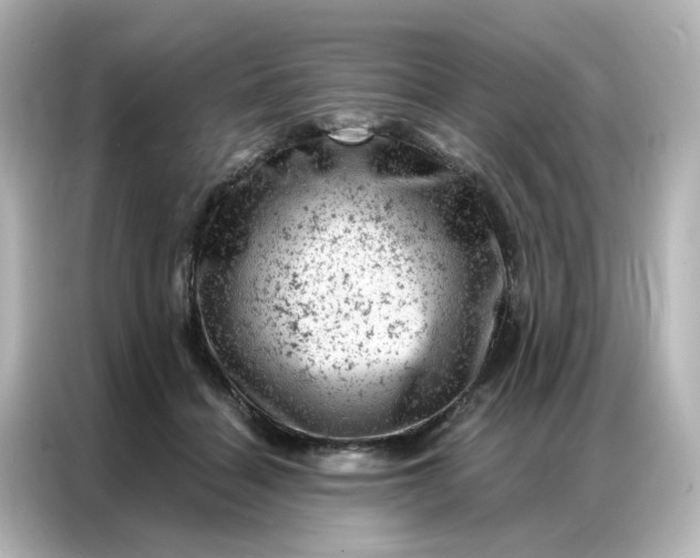 X0000087000460200704301401