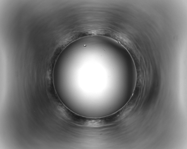 X0000087000461200704301401