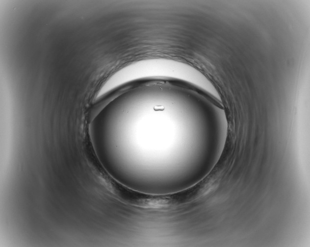 X0000087000462200704301401