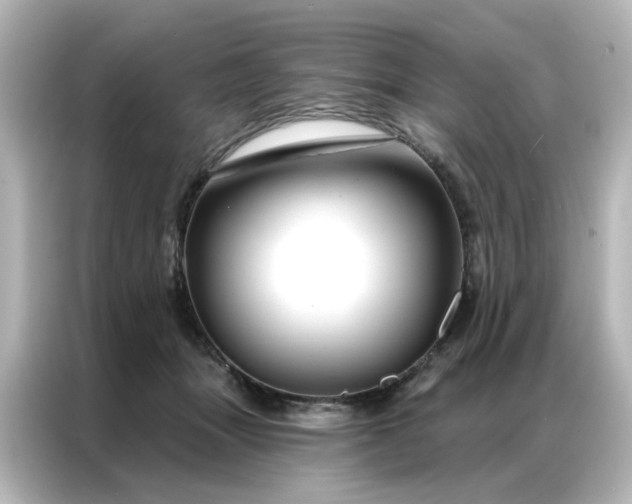 X0000087000463200704301401