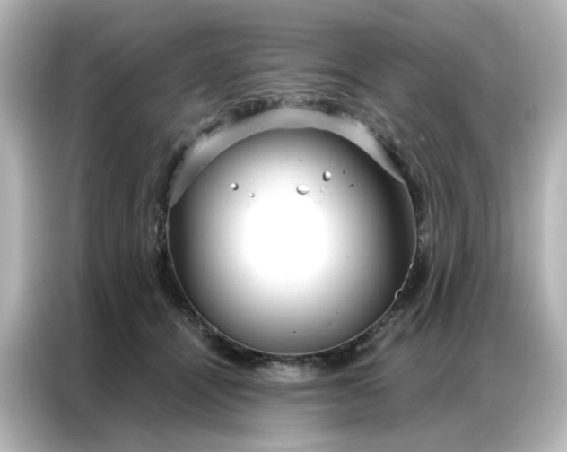 X0000087000464200704301401