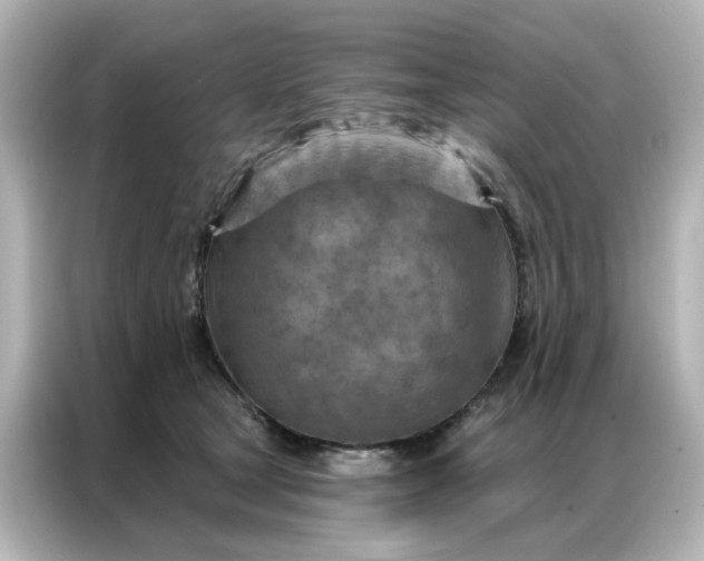 X0000087000465200704301401