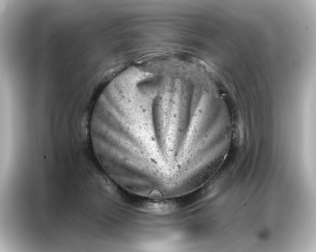 X0000087000466200704301401