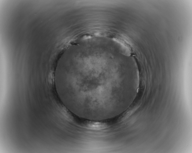 X0000087000467200704301401