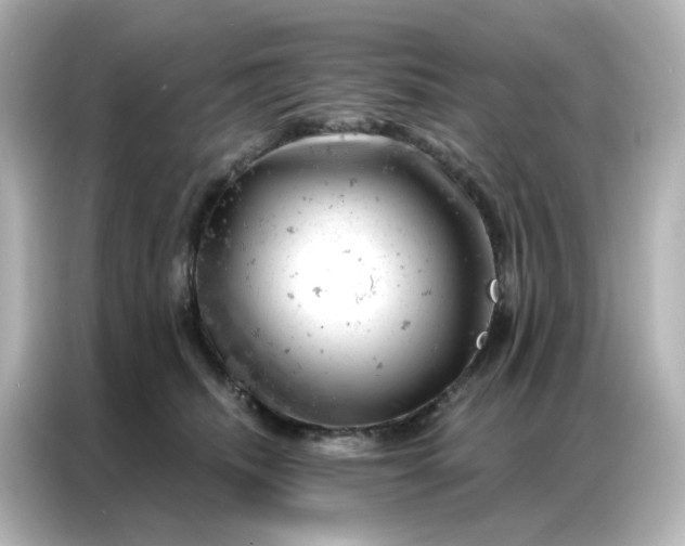 X0000087000468200704301401