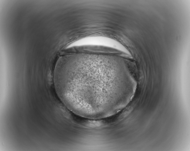X0000087000469200704301401