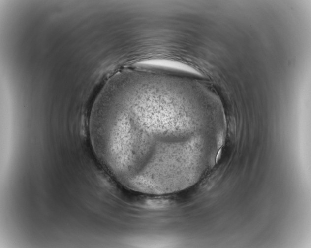 X0000087000470200704301401