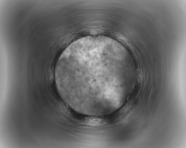 X0000087000471200704301401