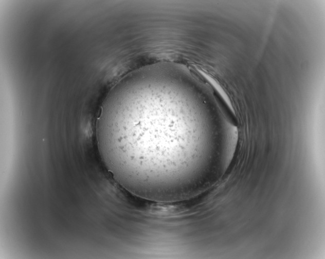 X0000087000472200704301401