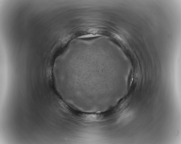 X0000087000473200704301401