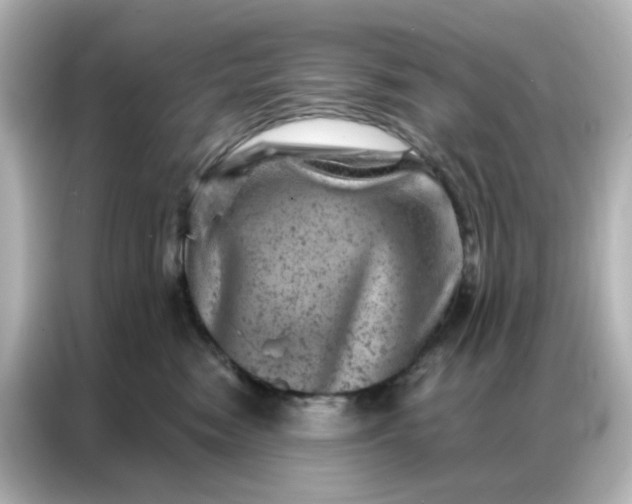 X0000087000474200704301401
