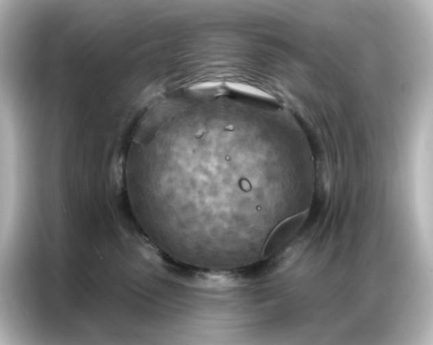 X0000087000475200704301401