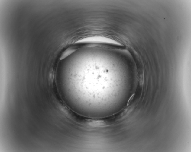 X0000087000476200704301401