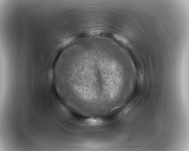 X0000087000477200704301401
