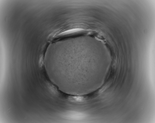 X0000087000478200704301401
