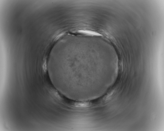 X0000087000479200704301401