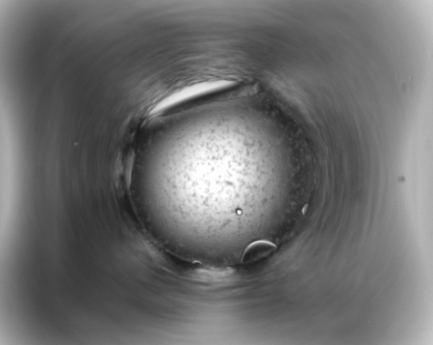 X0000087000480200704301401