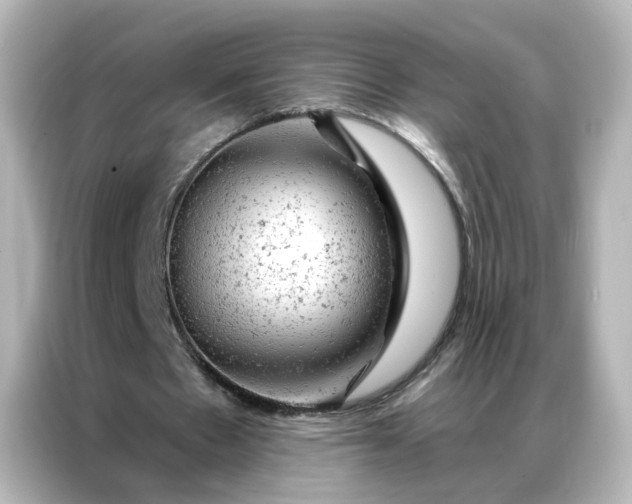 X0000087000481200704301401