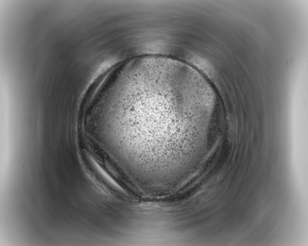 X0000087000482200704301401