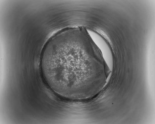 X0000087000483200704301401