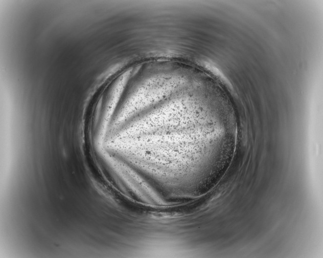 X0000087000486200704301401