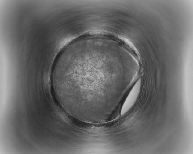 X0000087000487200704301401