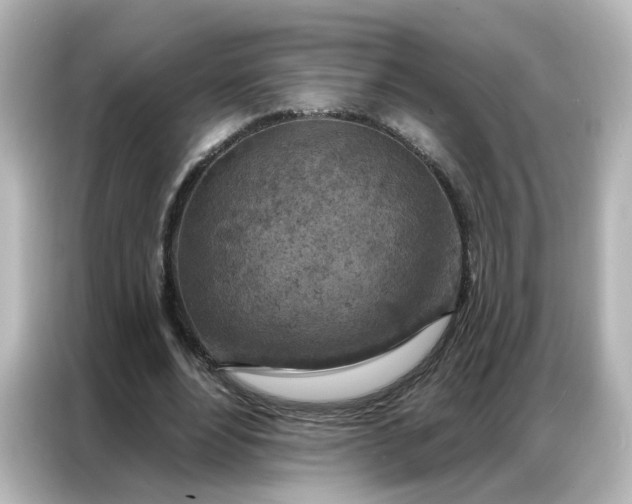 X0000087000488200704301401