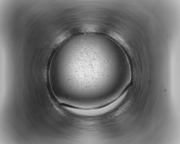 X0000087000489200704301401