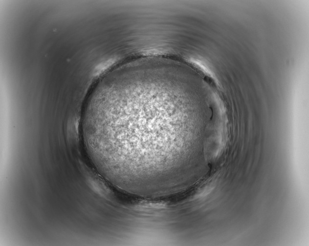 X0000087000491200704301401