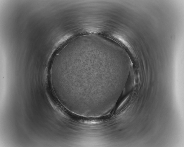 X0000087000492200704301400