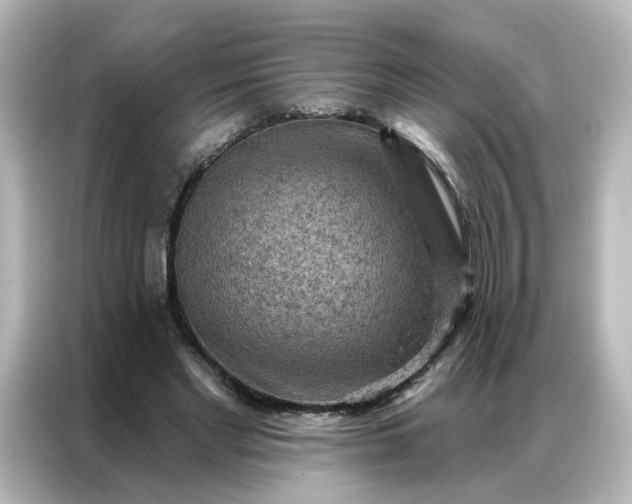 X0000087000493200704301400