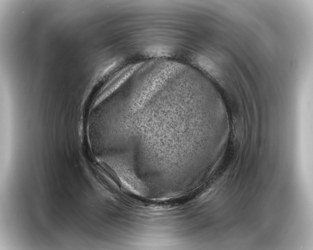 X0000087000494200704301400